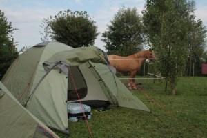 Aggricampeggio Mose is part of a working farm