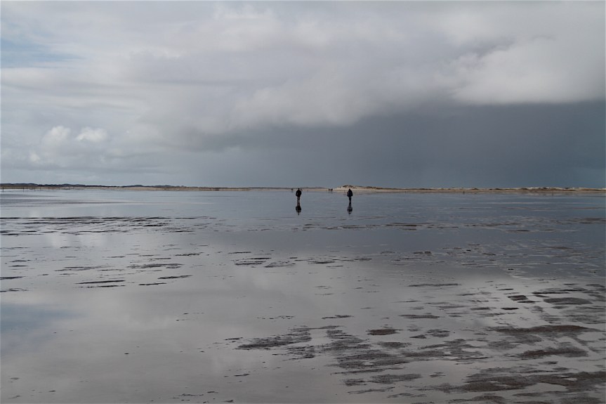 Wadden2